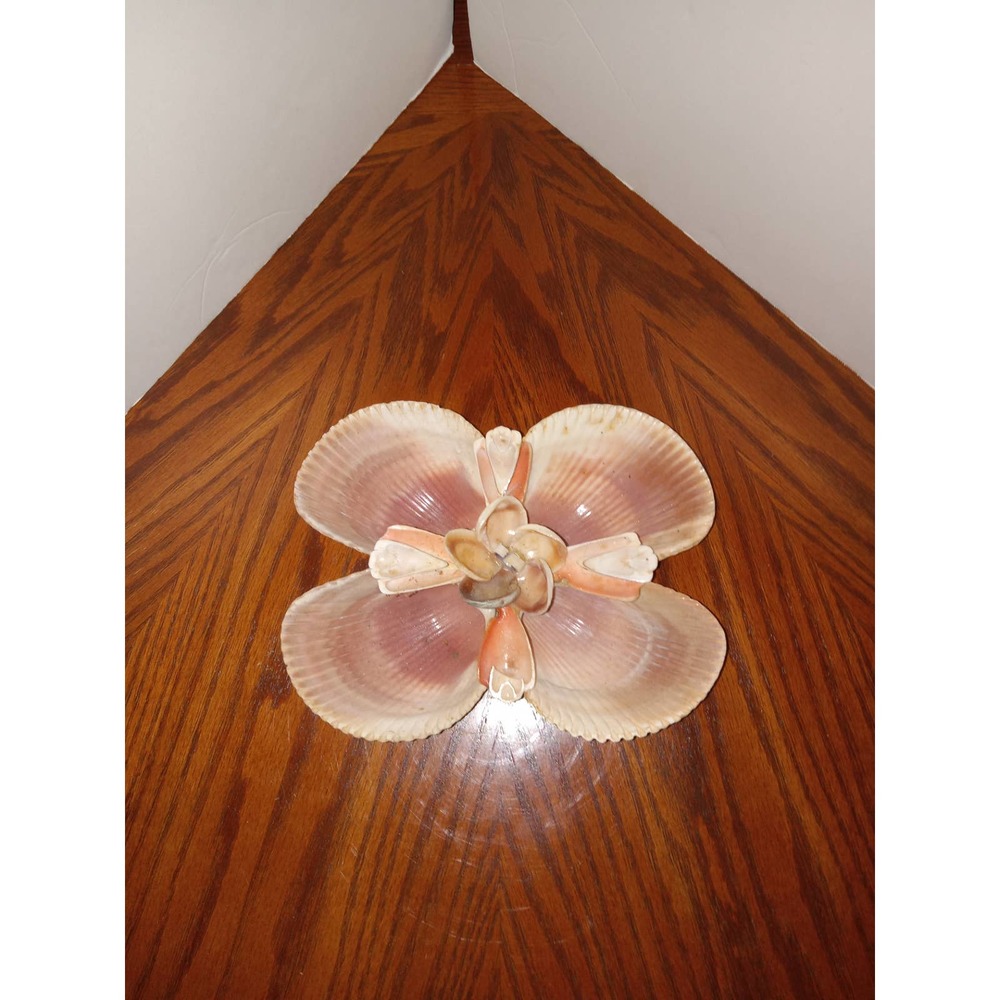 Seashell trinket jewelry holder.